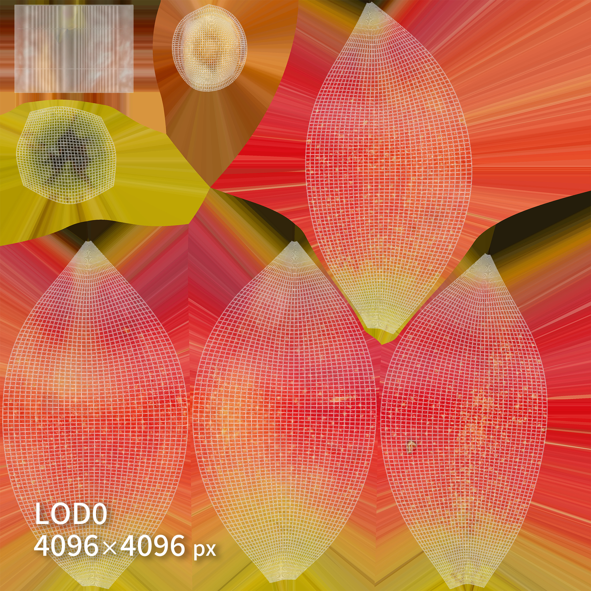 Apple 3D model Low-poly 3D model_8