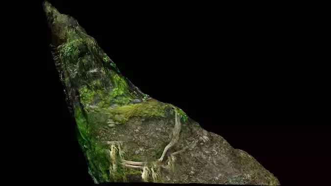 Hillside Roots Moss V1