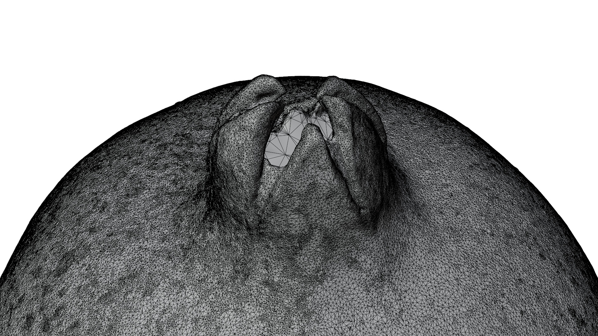 Pomegranate 3D model_5