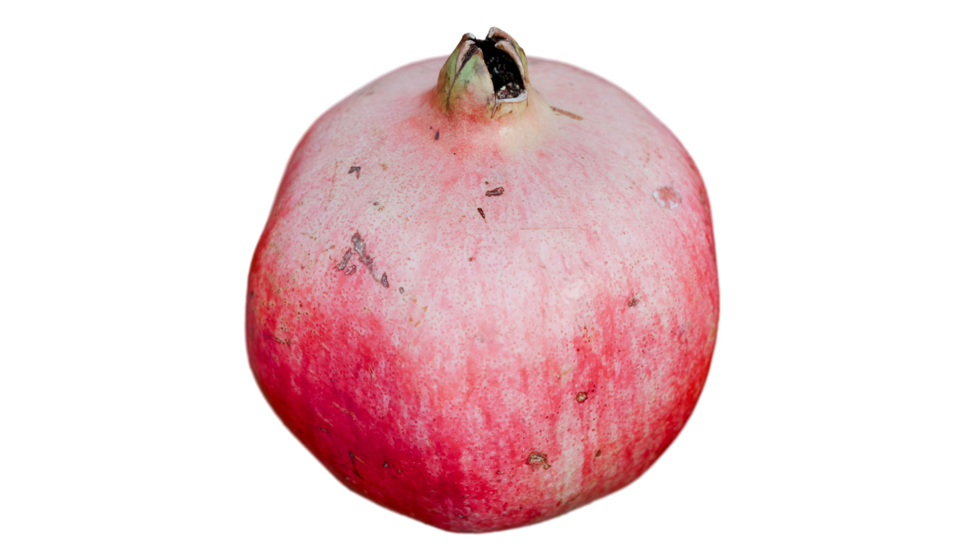 Pomegranate 3D model_2