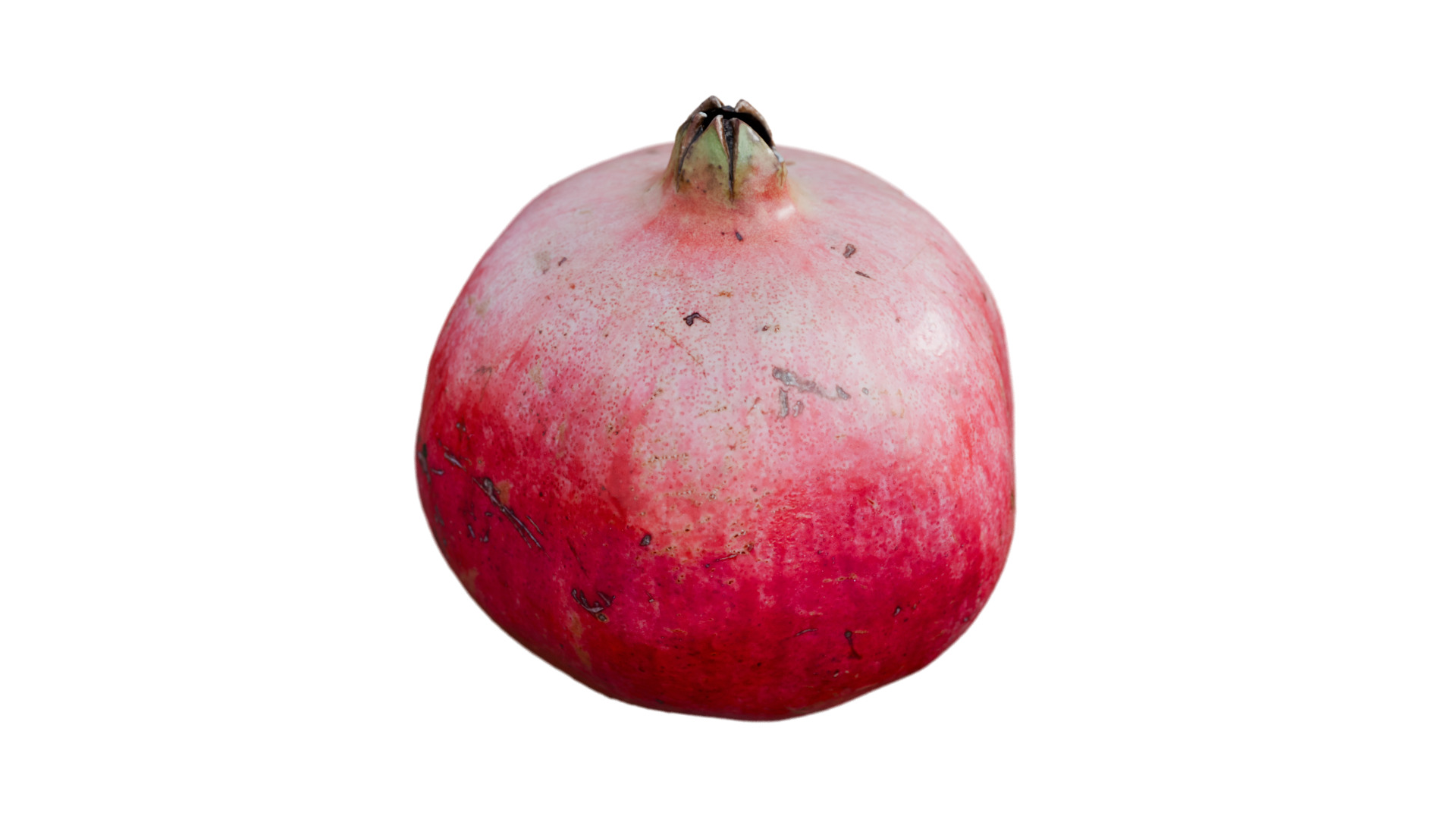 Pomegranate 3D model_3