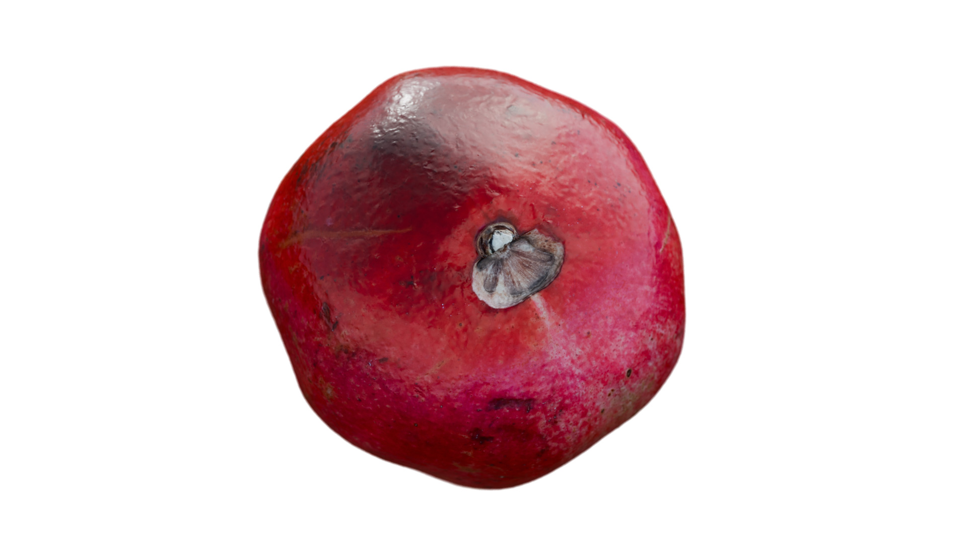 Pomegranate 3D model_4