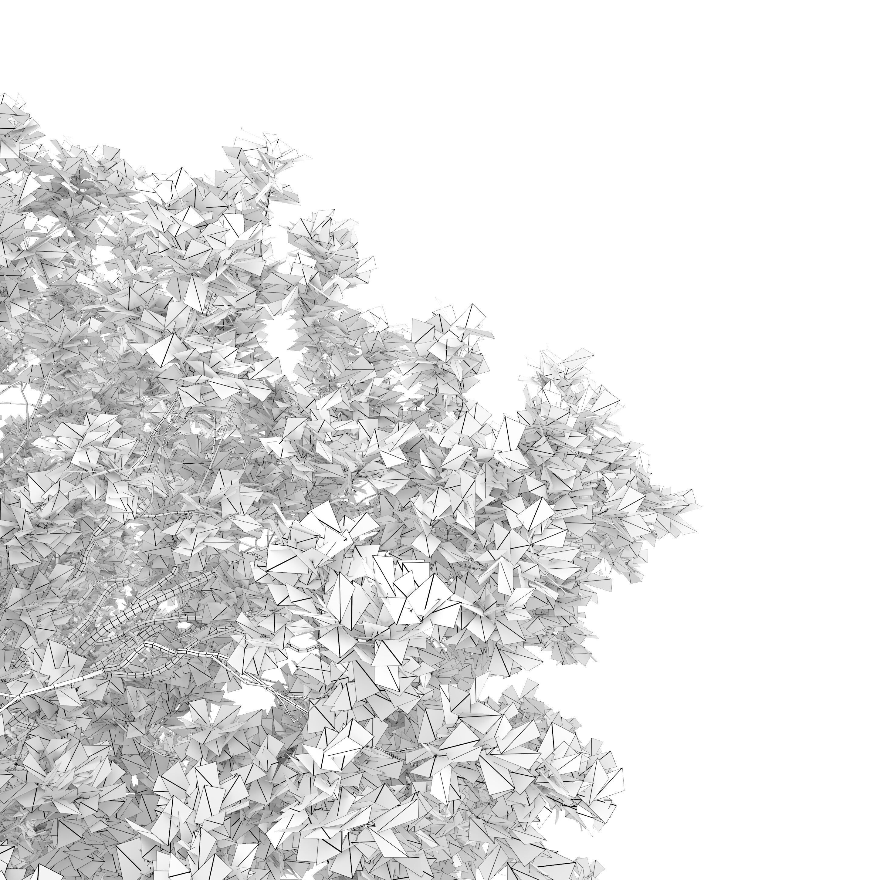 Oak tree 10 3D model_4