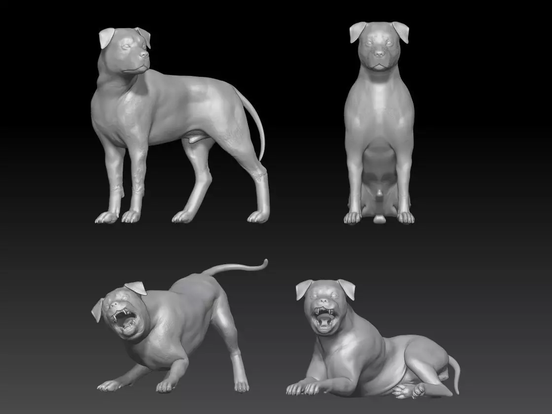 Rottweiler dog 3D print model_0
