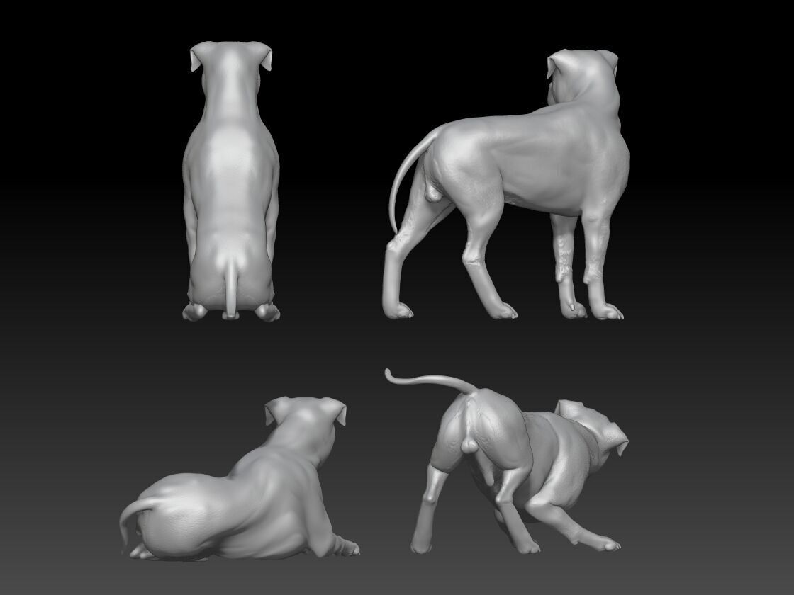 Rottweiler dog 3D print model_2
