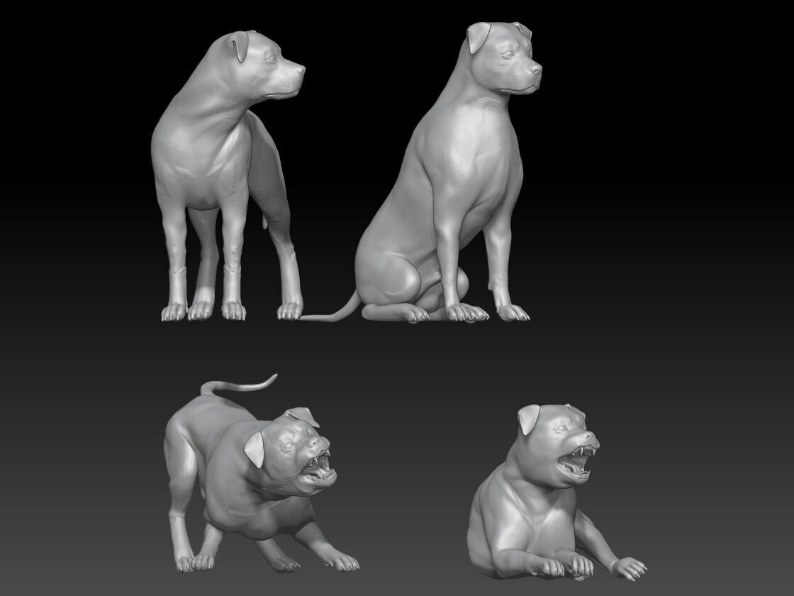 Rottweiler dog 3D print model_3