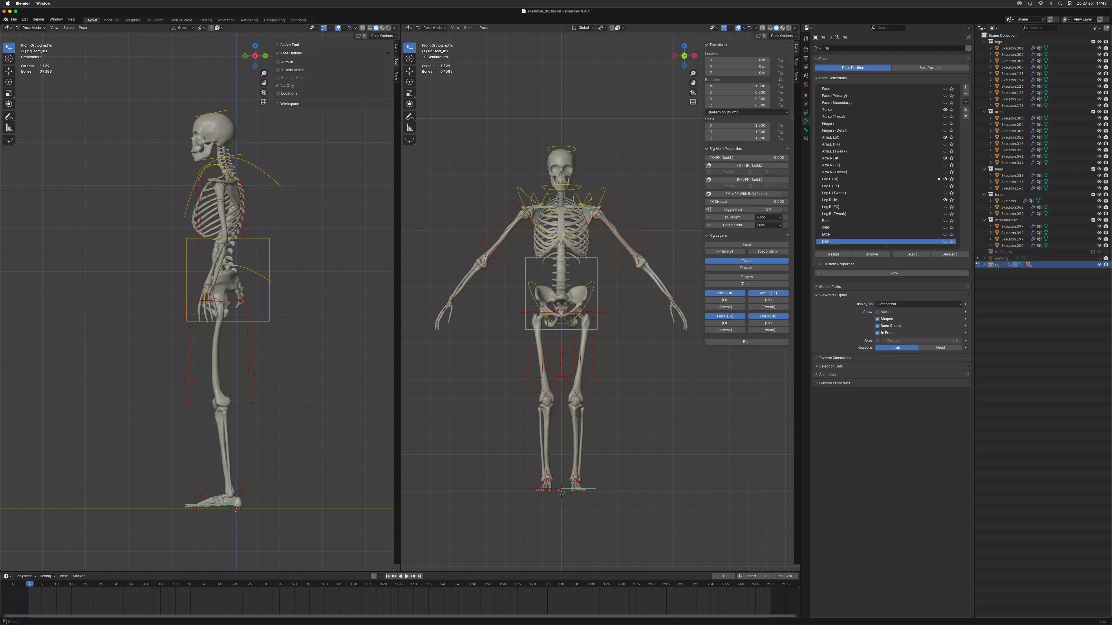 Skeleton Free 3D model