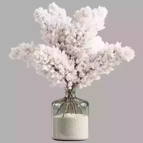 Pampas For Interior 2