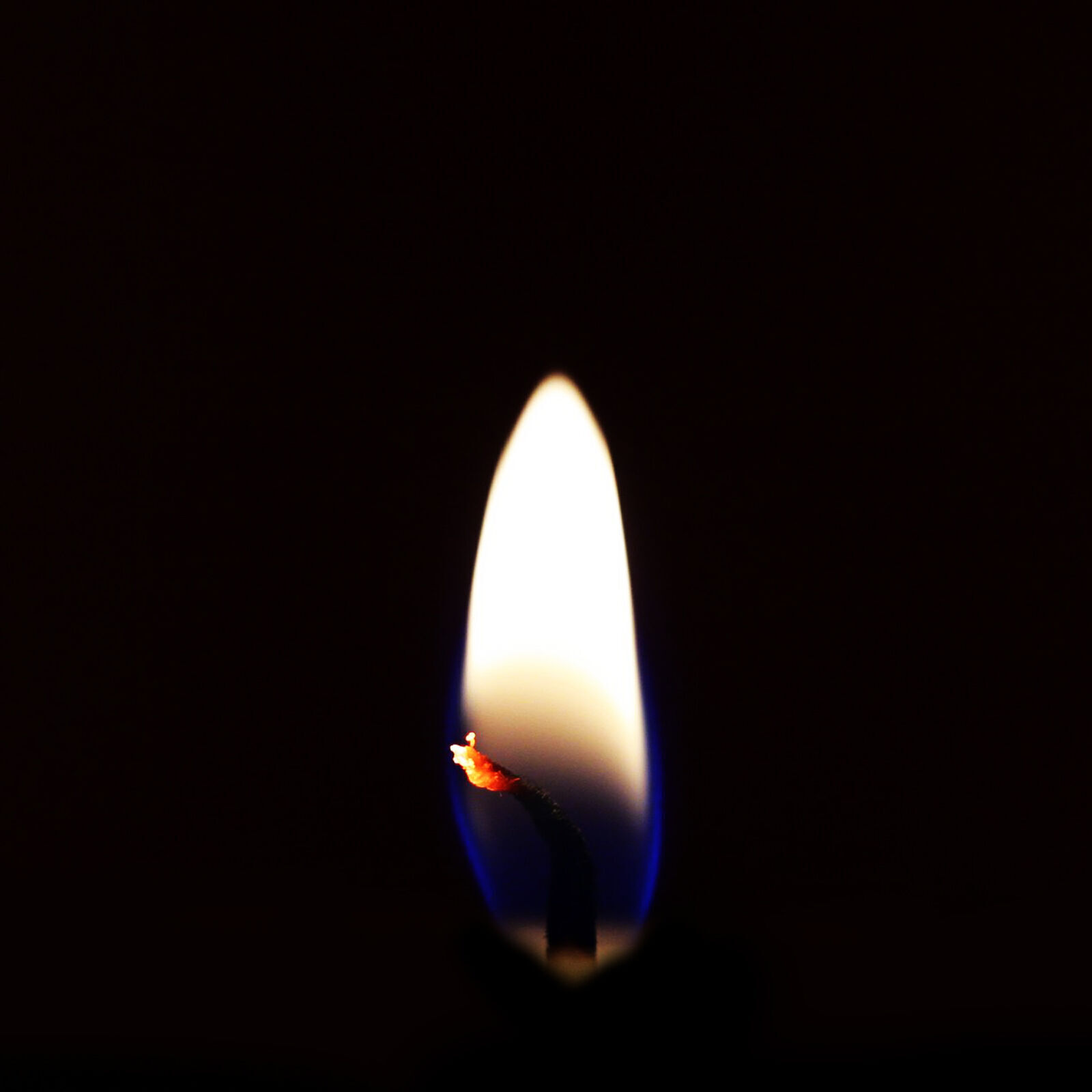 Decorative set 2 3D model_21