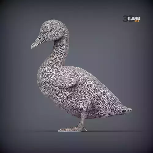 swan baby 3D print model