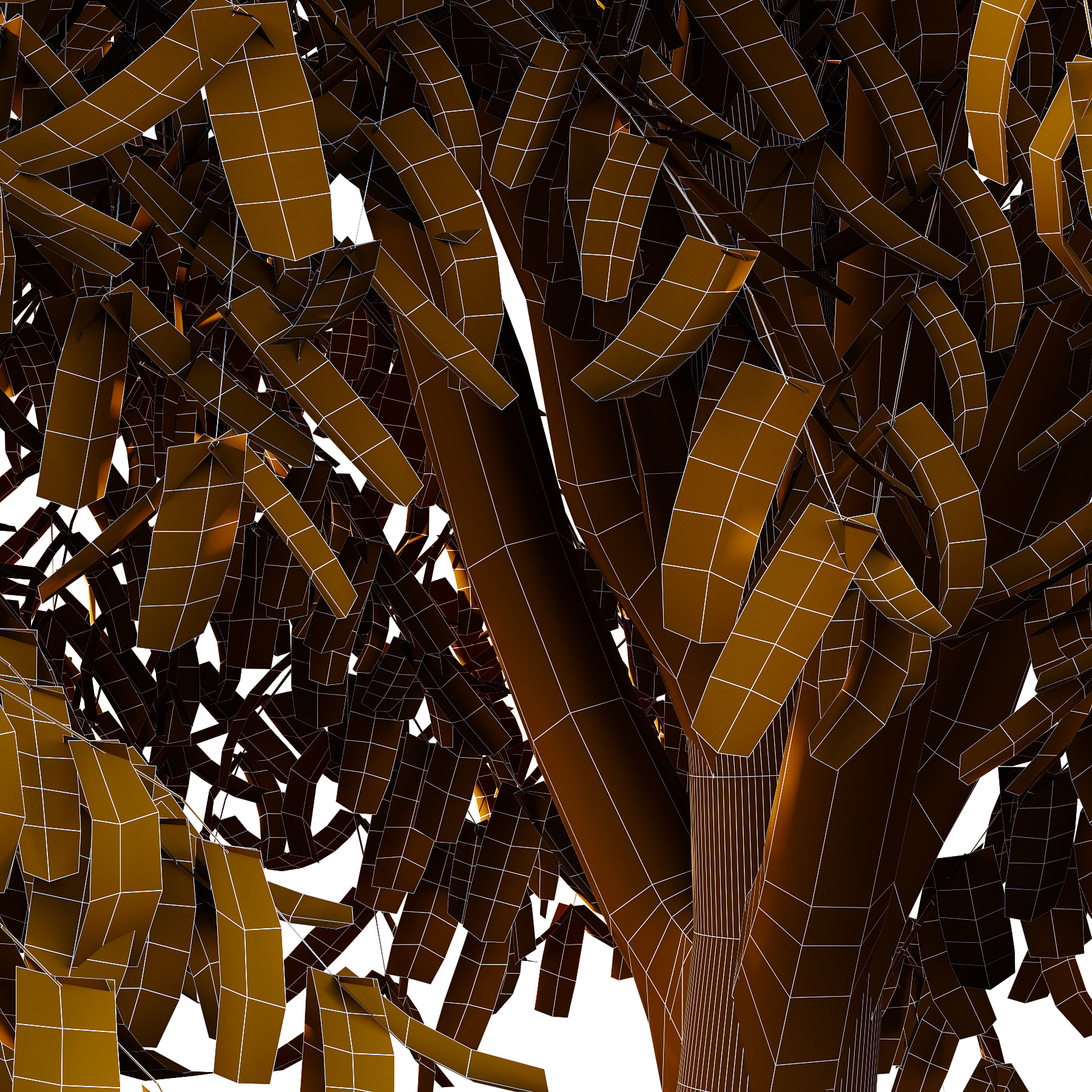Cinnamomum burmannii Tree 04 3D model_4