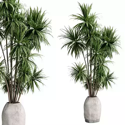 palm branch in a concrete pot - set indoor plant 619  3D model