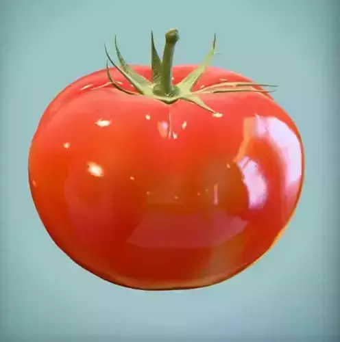 Tomato