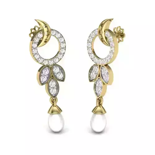 Printable 3D Jewelry design of Earrings with diamonds