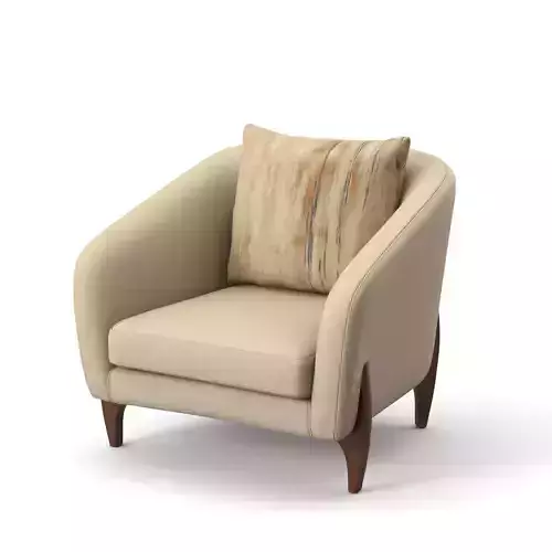 Arm Chair