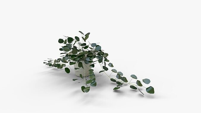 Faux Potted Trailing Leaf Plant 3D model 4