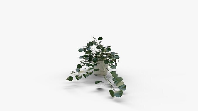 Faux Potted Trailing Leaf Plant 3D model 3