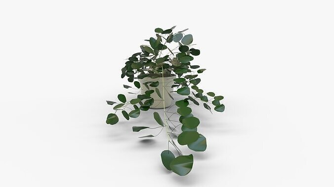 Faux Potted Trailing Leaf Plant 3D model 7