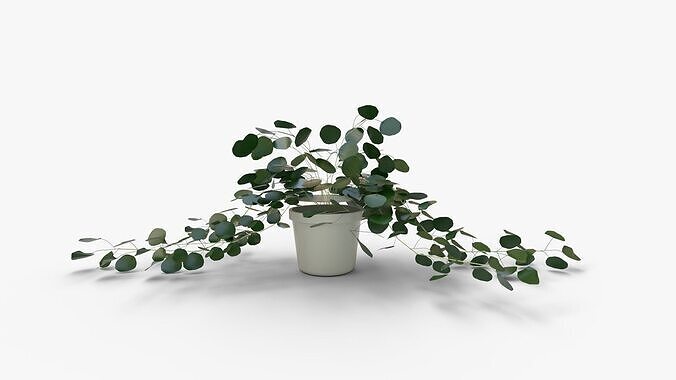 Faux Potted Trailing Leaf Plant 3D model 5