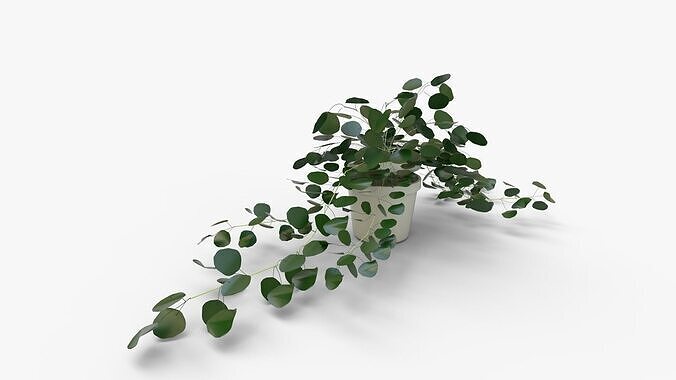 Faux Potted Trailing Leaf Plant 3D model 6
