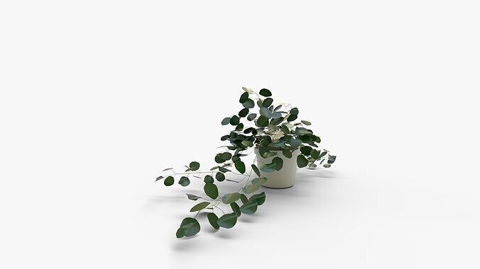 Faux Potted Trailing Leaf Plant 3D model 2