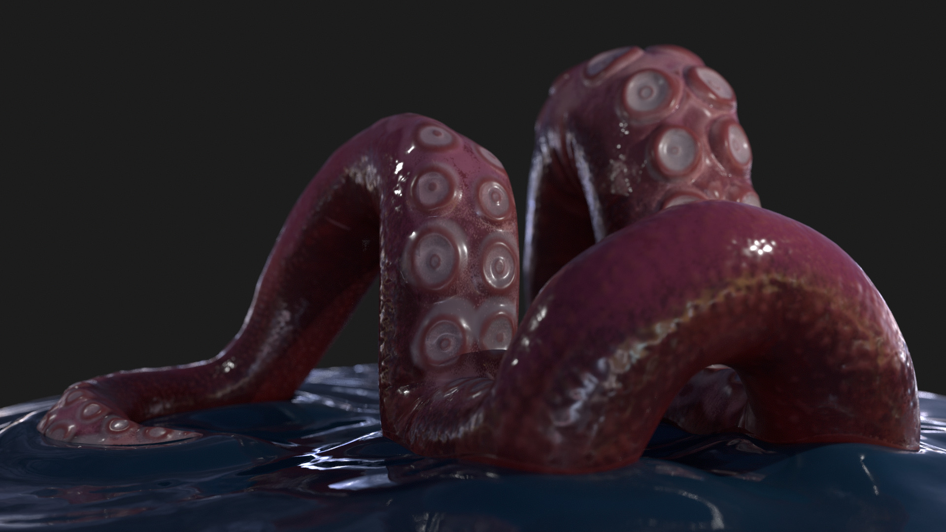 TENTACLE PHONE HOLDER Free 3D print model_3