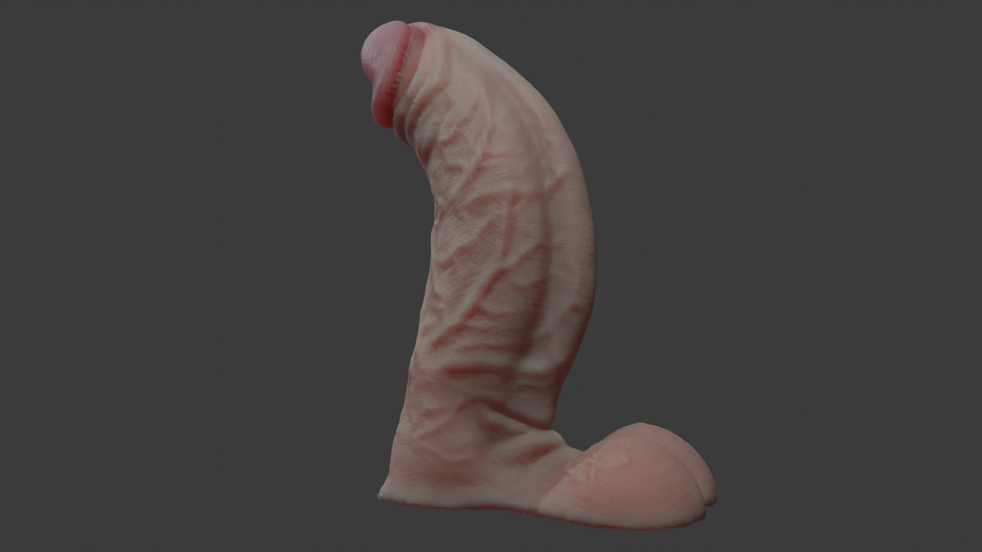 Fat Penis Rigged Lowpoly and Highpoly Low-poly 3D model_6