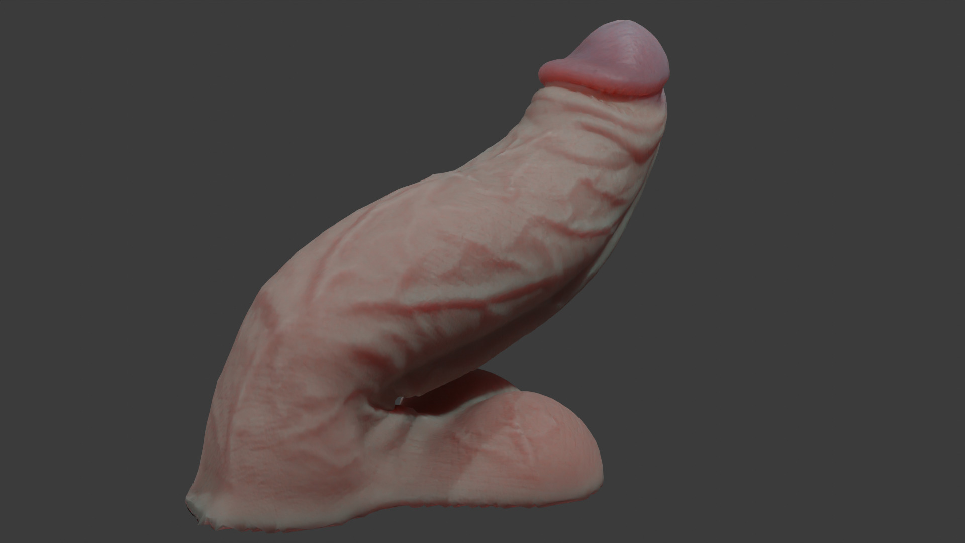 Fat Penis Rigged Lowpoly and Highpoly Low-poly 3D model_3