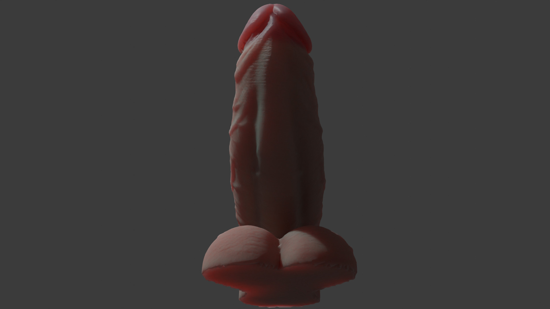 Fat Penis Rigged Lowpoly and Highpoly Low-poly 3D model_8