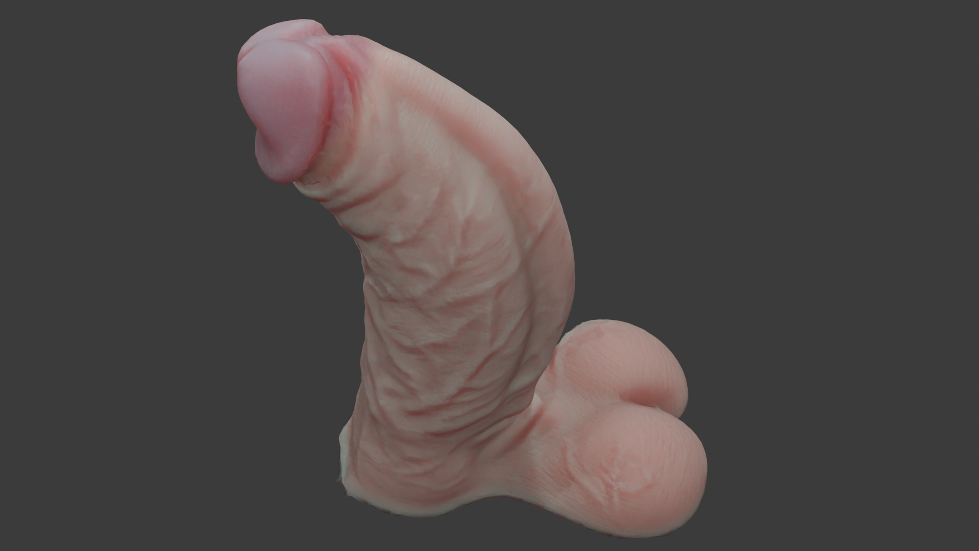 Fat Penis Rigged Lowpoly and Highpoly Low-poly 3D model_4