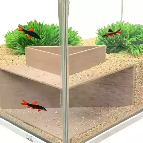 Tunnel for fish 14 - aquarium - fish tank