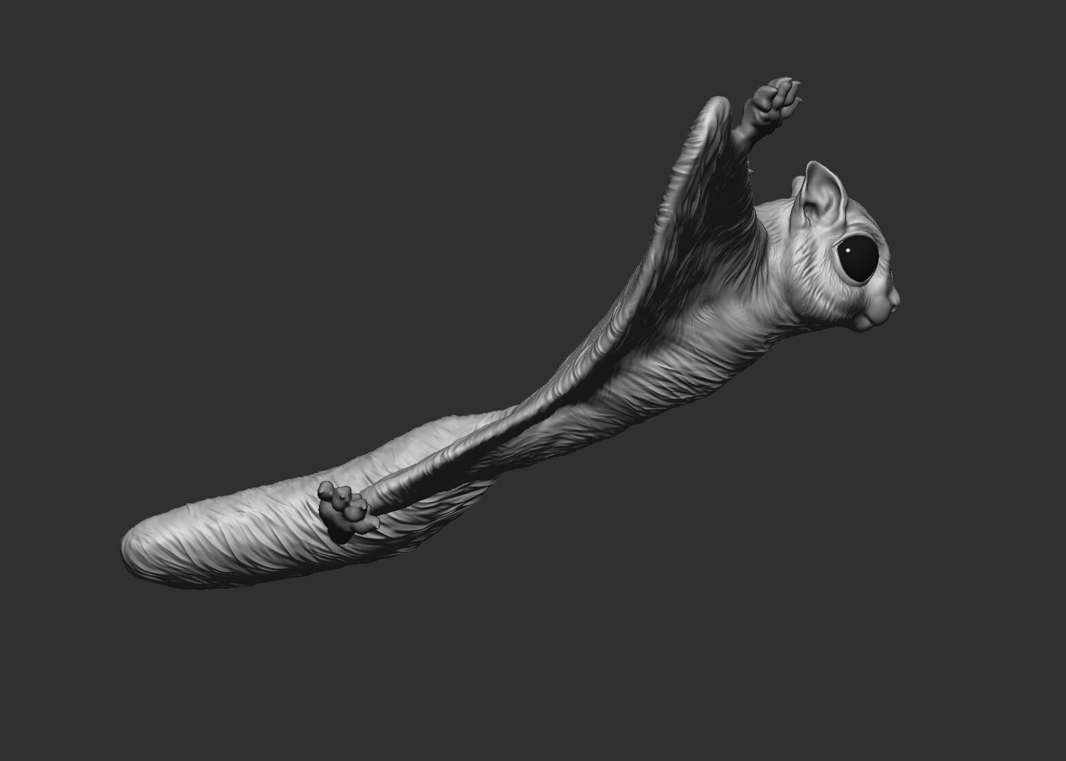 Flying Squirrel 3d print model 3D print model_4