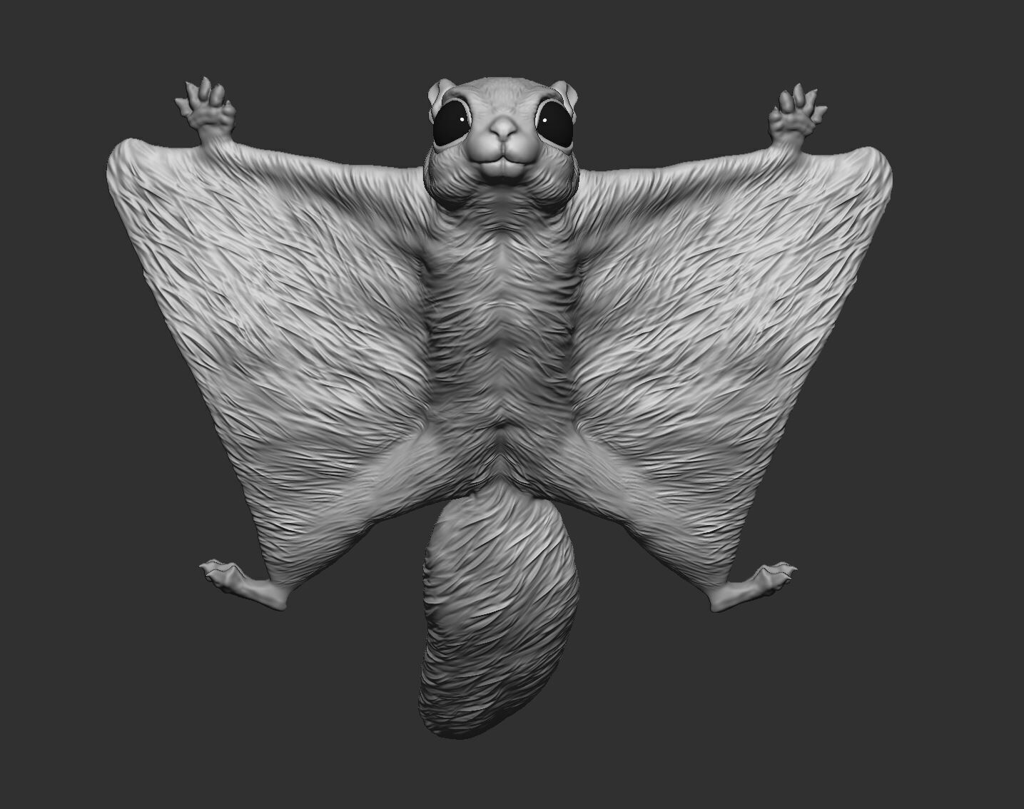 Flying Squirrel 3d print model 3D print model_3