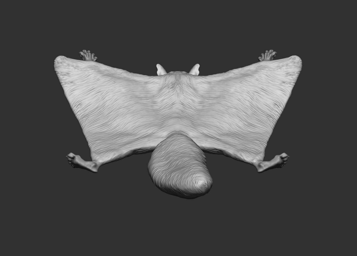 Flying Squirrel 3d print model 3D print model_5