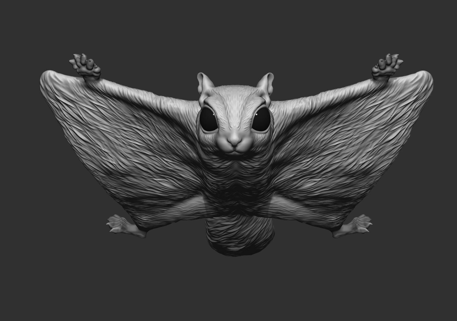 Flying Squirrel 3d print model 3D print model_2