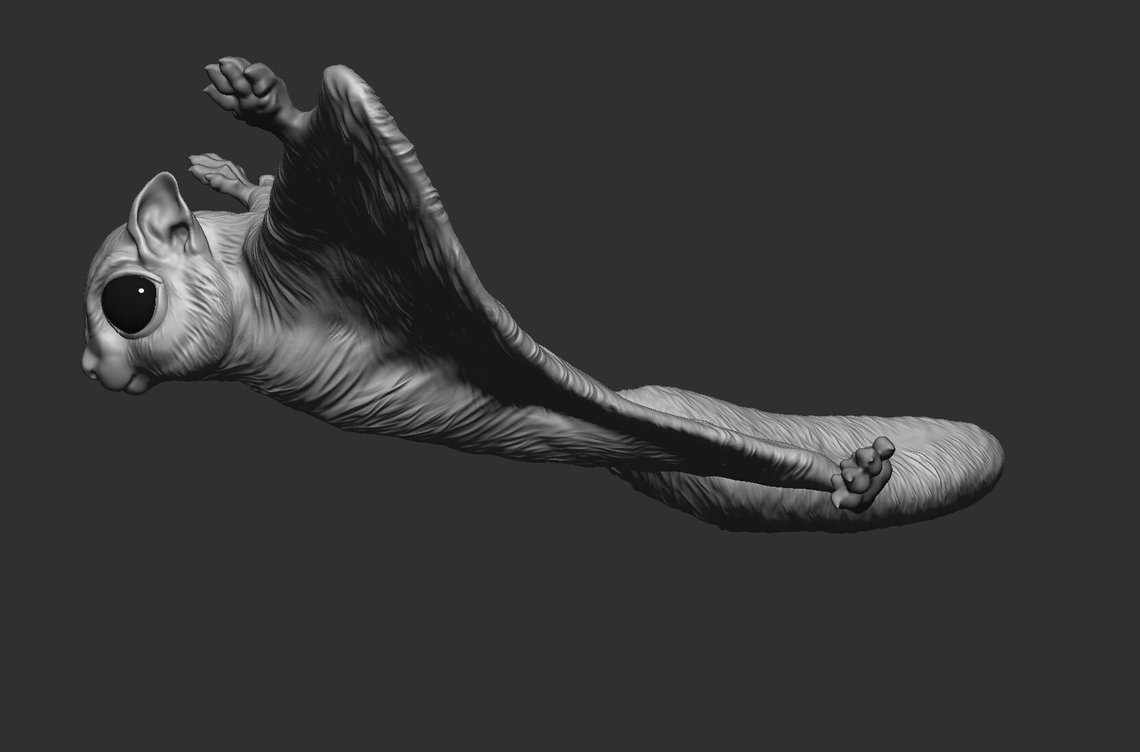 Flying Squirrel 3d print model 3D print model_7