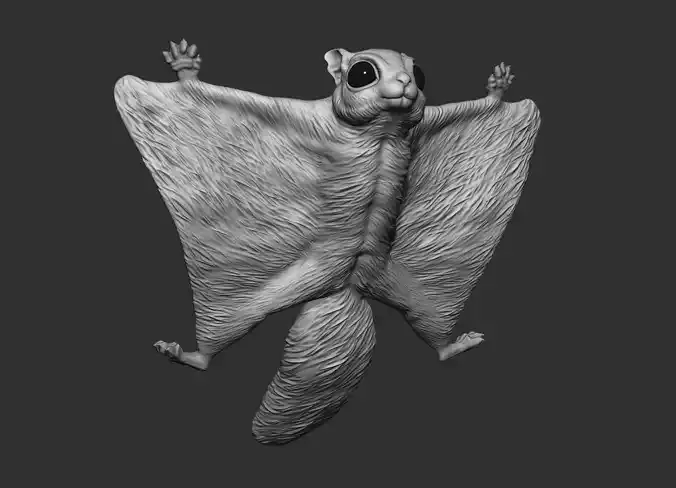 Flying Squirrel 3d print model 3D print model