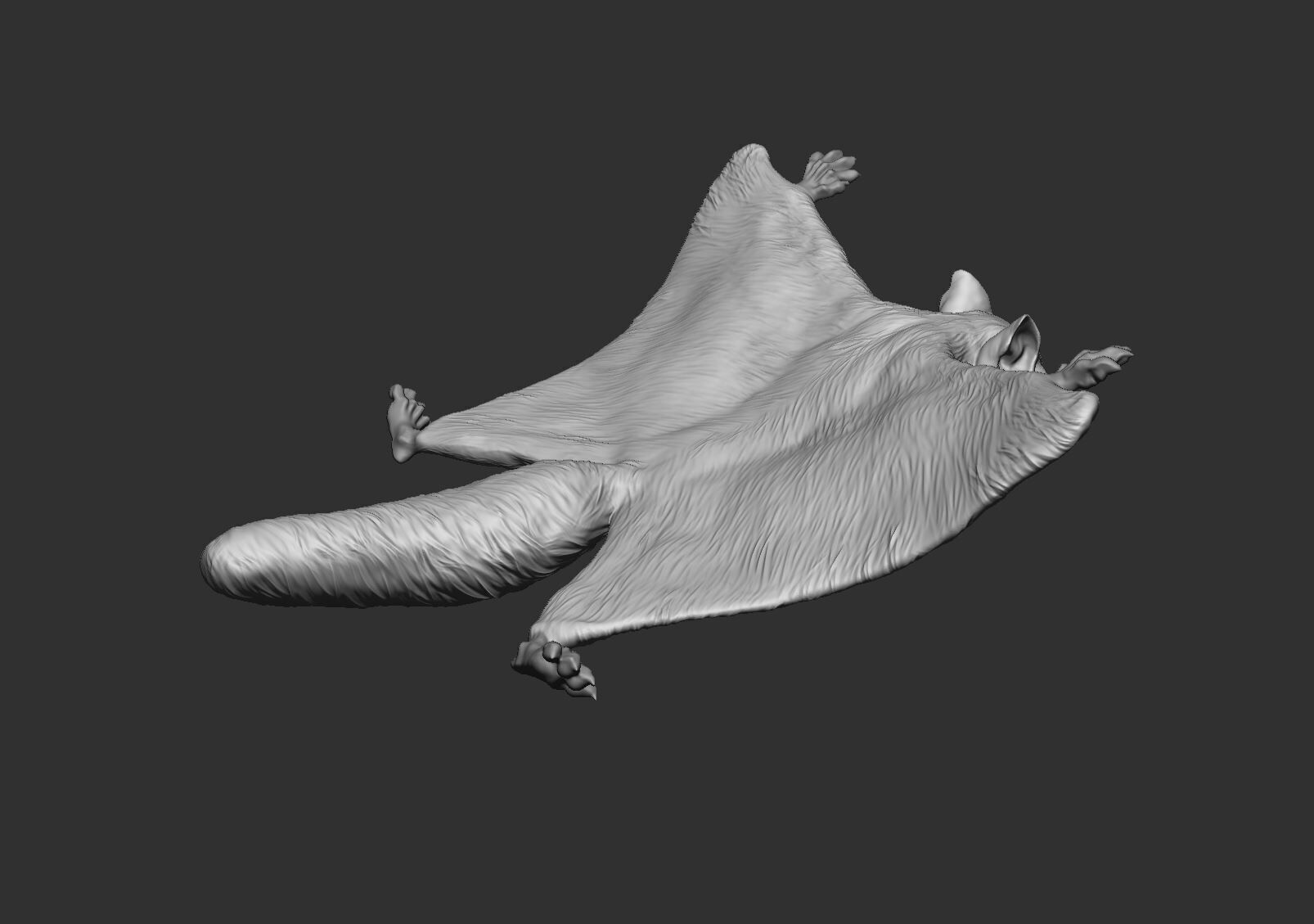 Flying Squirrel 3d print model 3D print model_6