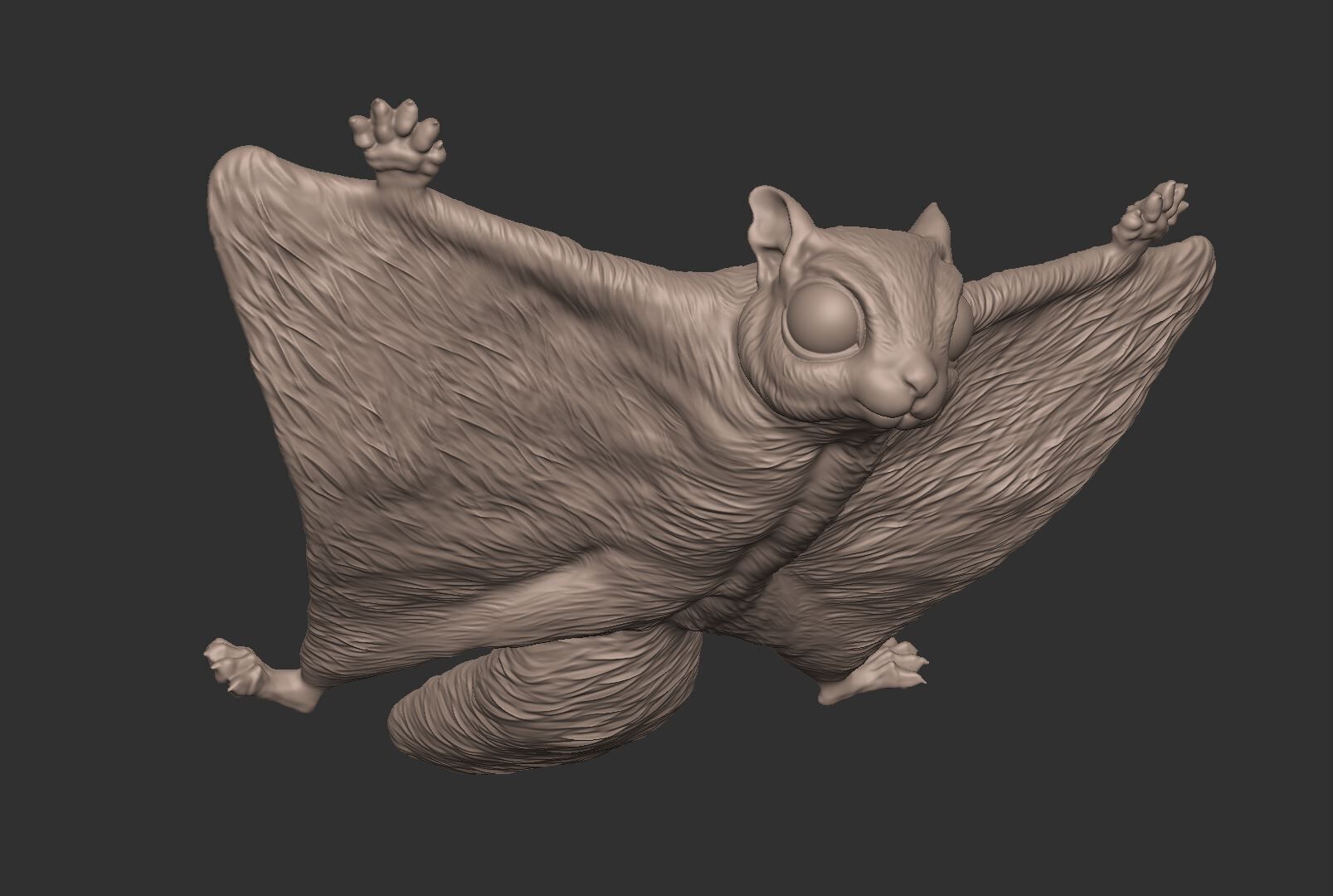 Flying Squirrel 3d print model 3D print model_1