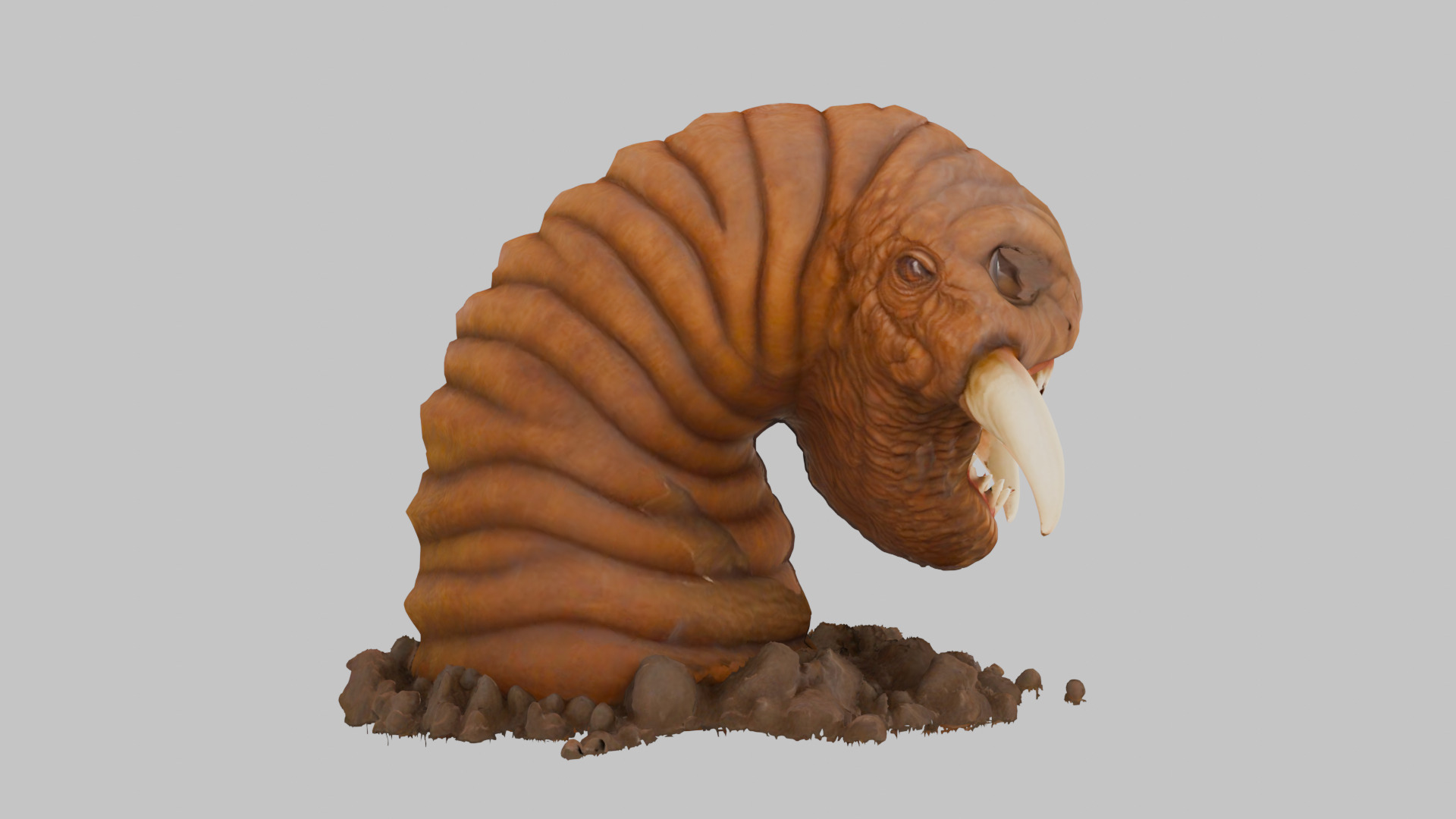 Tibia Hotworm Monster 3D Model Low-poly 3D model_2
