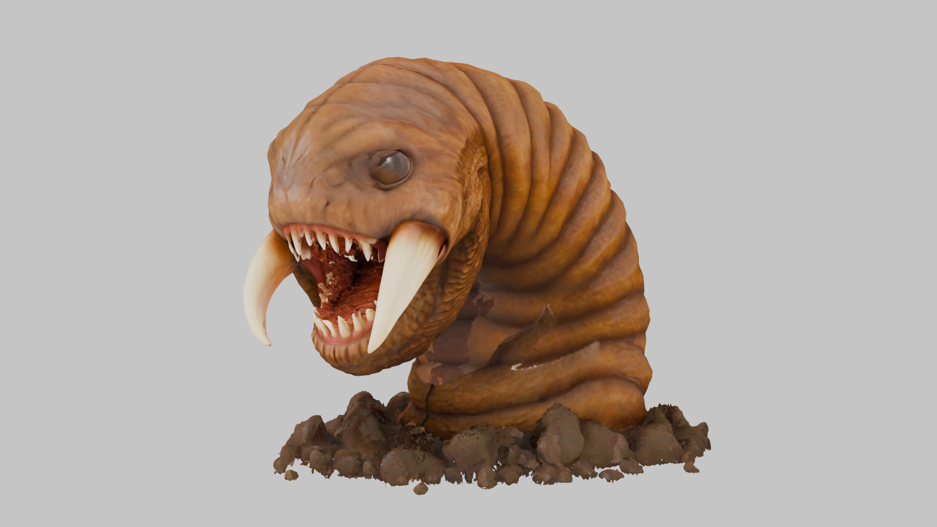 Tibia Hotworm Monster 3D Model Low-poly 3D model_7
