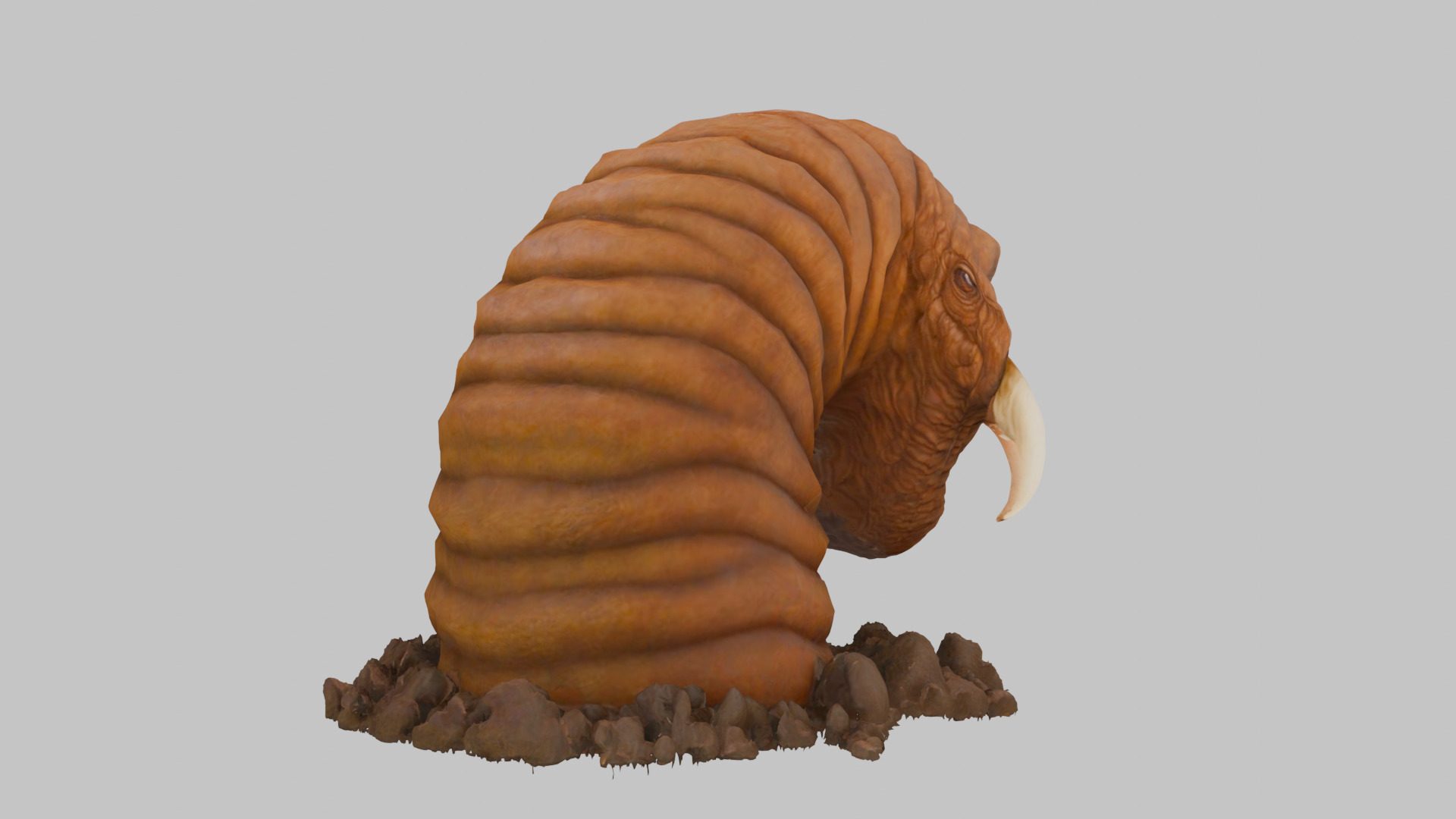 Tibia Hotworm Monster 3D Model Low-poly 3D model_3
