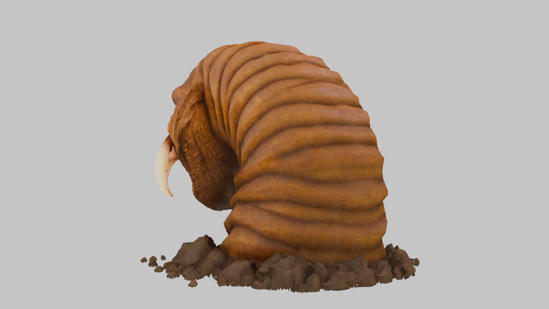 Tibia Hotworm Monster 3D Model Low-poly 3D model_5