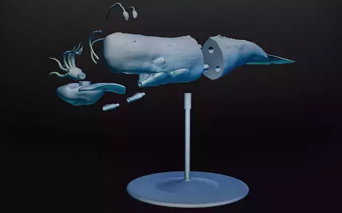 Sperm Whale and Colossal Squid battle