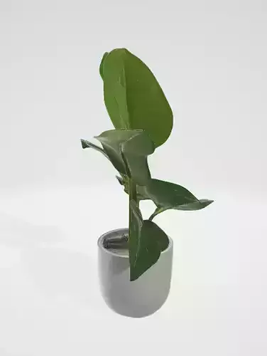 3d model of a plant