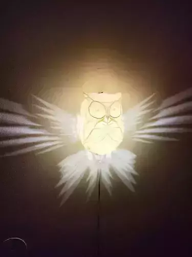 Cute Owl wall lamp 3D print model