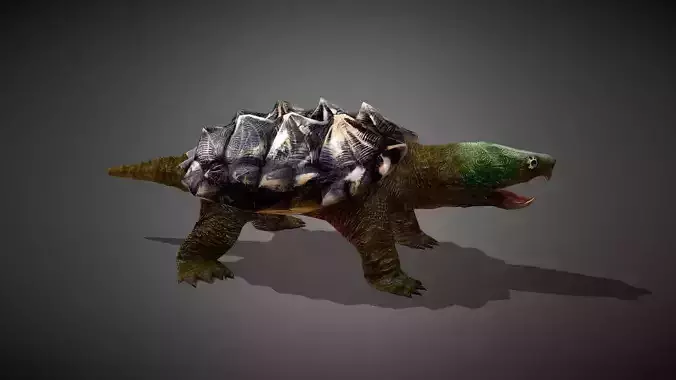 Realistic Snapping Turtle 3D Model