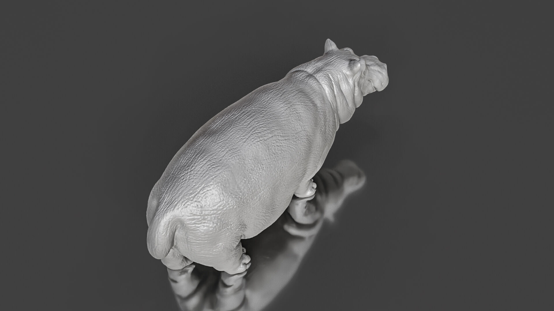 Zoo Realism Toy Hippo 3D Model STL 3D print model_4