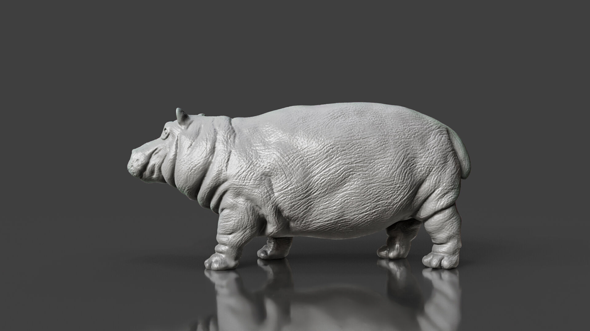 Zoo Realism Toy Hippo 3D Model STL 3D print model_3