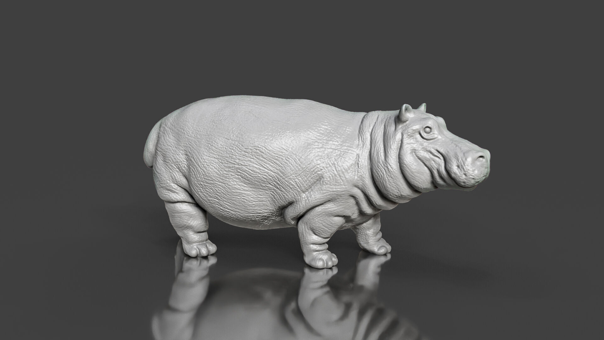 Zoo Realism Toy Hippo 3D Model STL 3D print model_5
